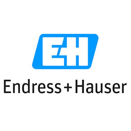 E+H Instrumentation